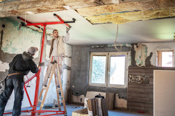Best Insulation Installation Services in Saluda, SC