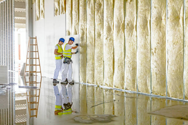 Best Insulation Maintenance and Repair in Saluda, SC